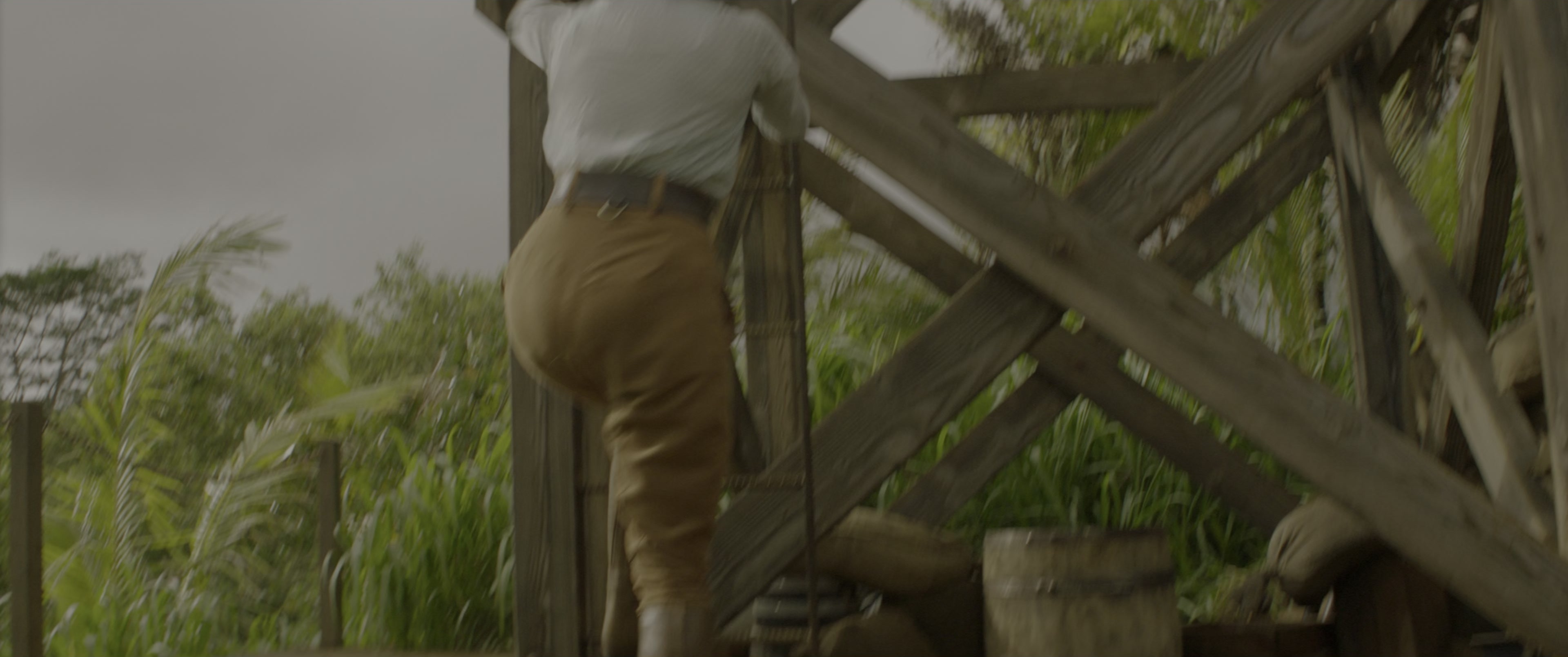 Jungle Cruise (2021), wide, 2.39:1 — film still