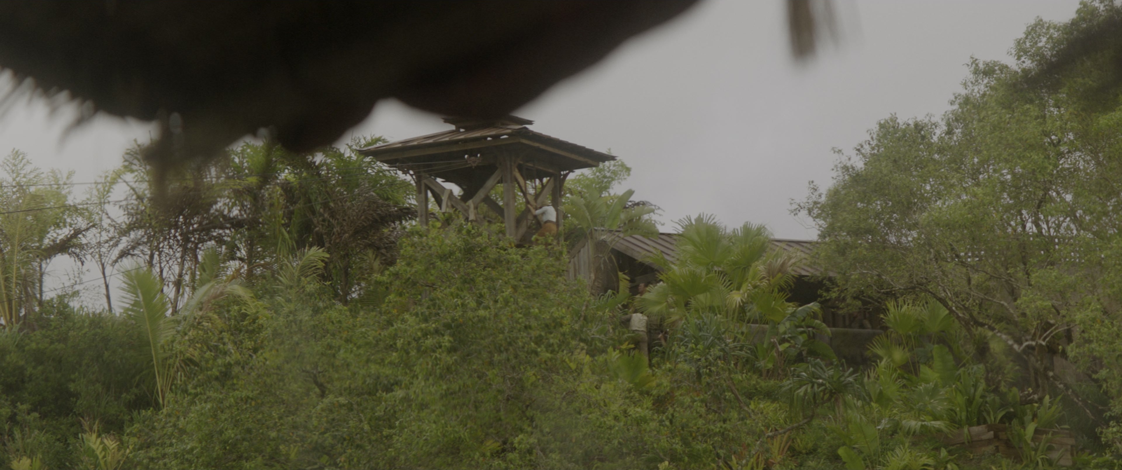 Jungle Cruise (2021), wide, 2.39:1 — film still