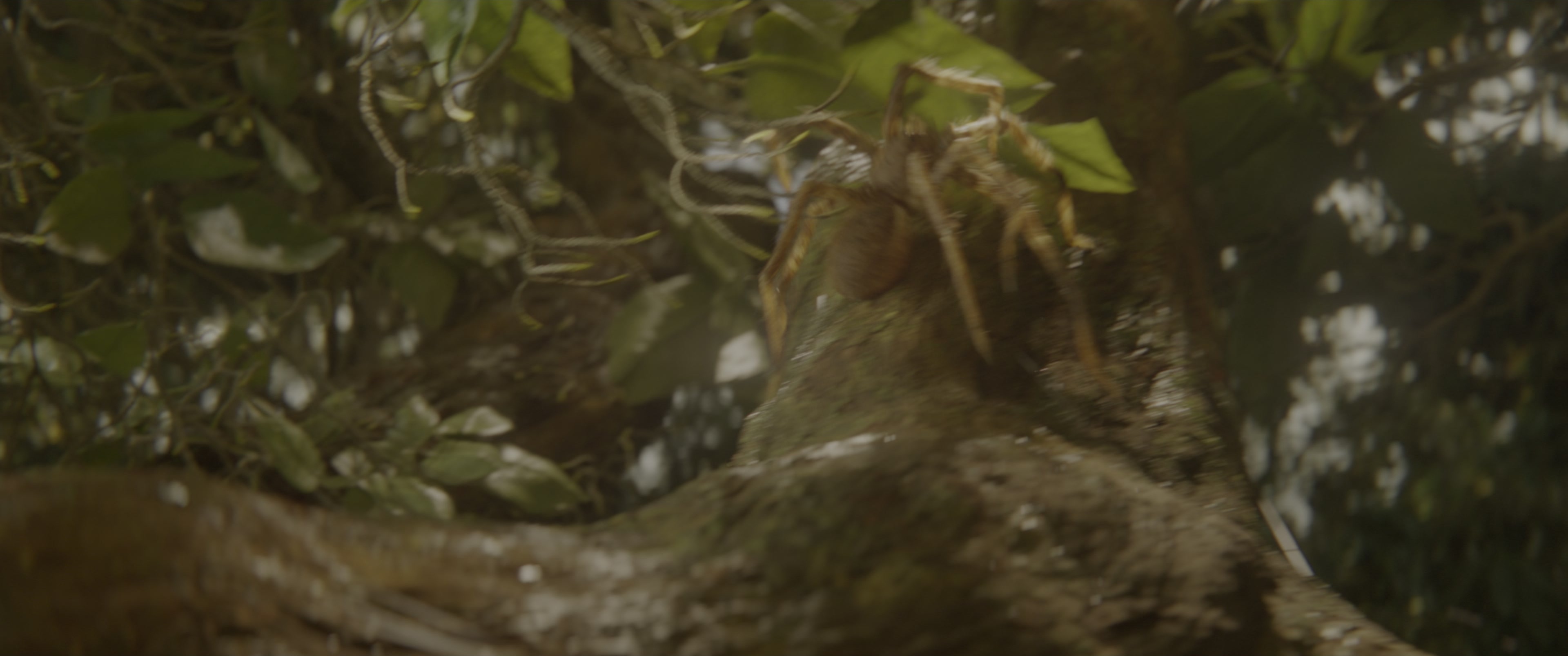 Jungle Cruise (2021), wide, 2.39:1 — film still