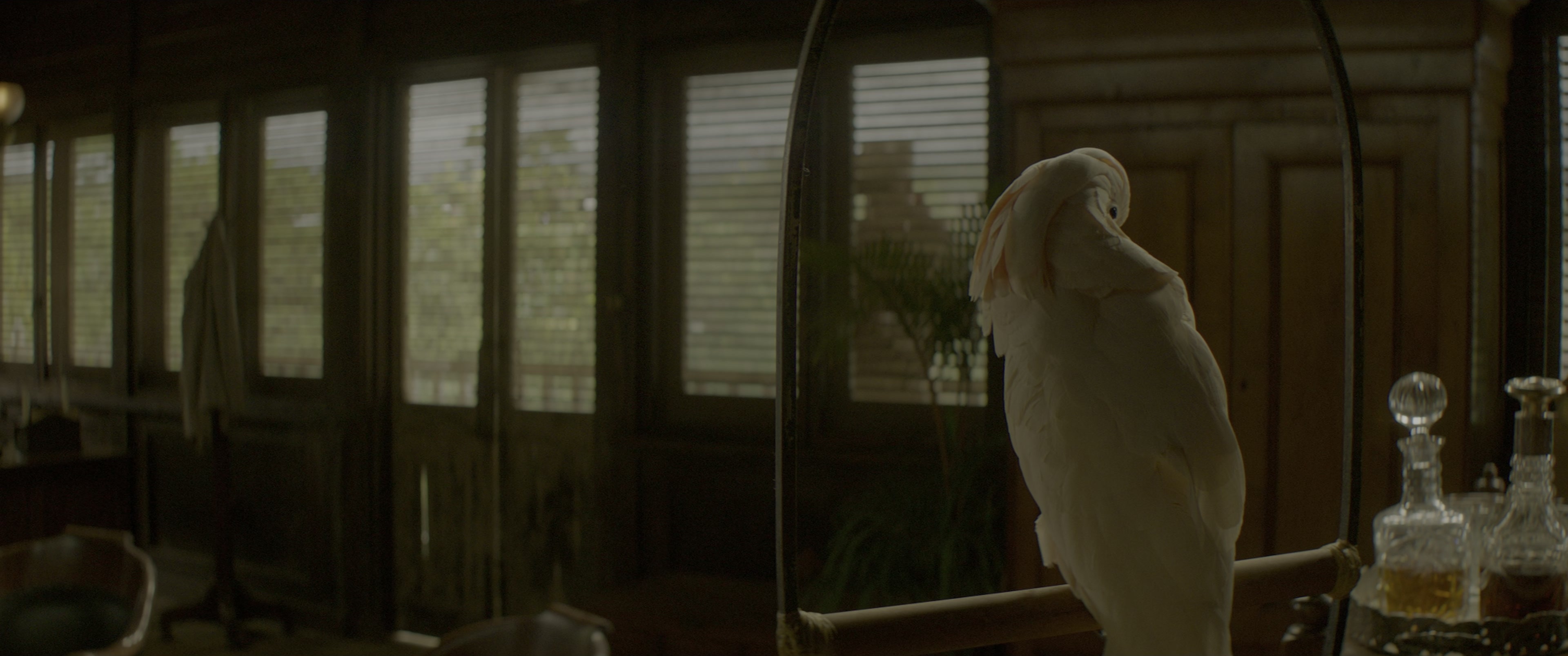 Jungle Cruise (2021), wide, 2.39:1 — film still