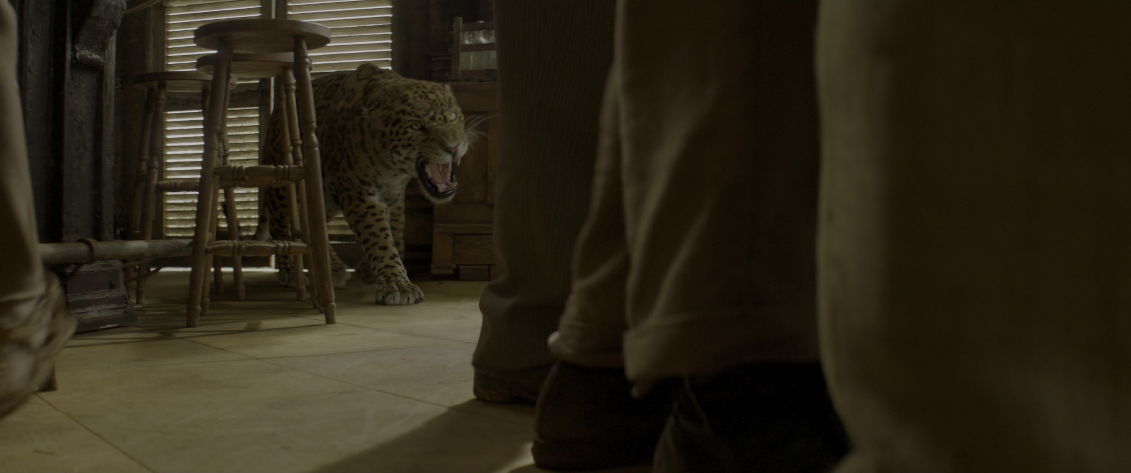 Jungle Cruise (2021), wide, 2.39:1 — film still