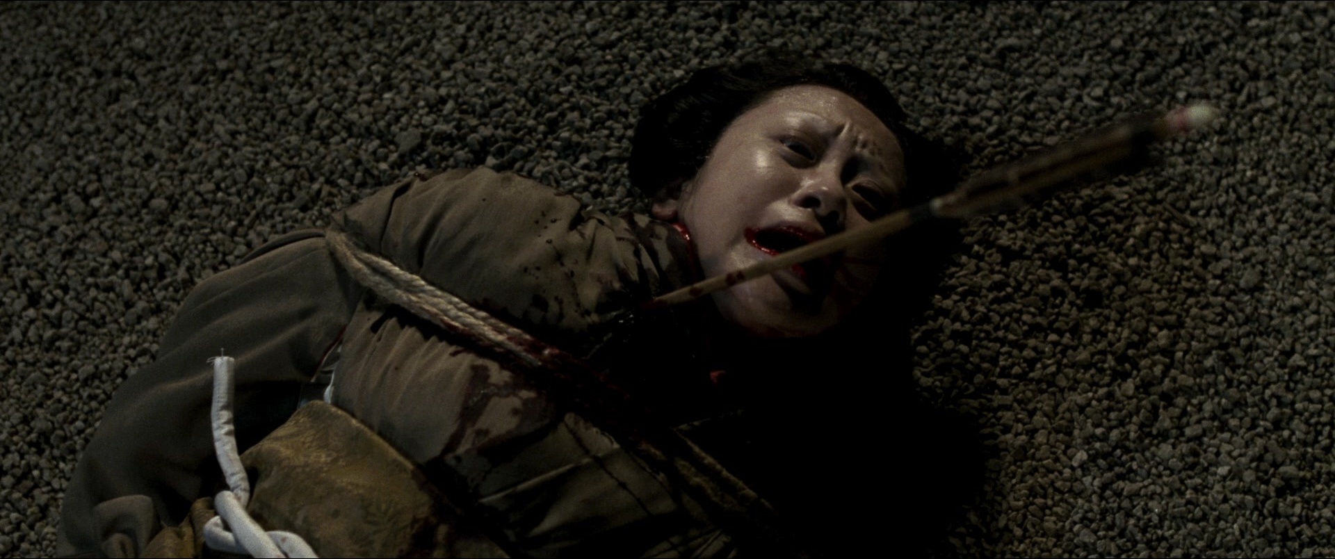 Jusan-nin no shikaku (2010), wide, 2.39:1 — film still