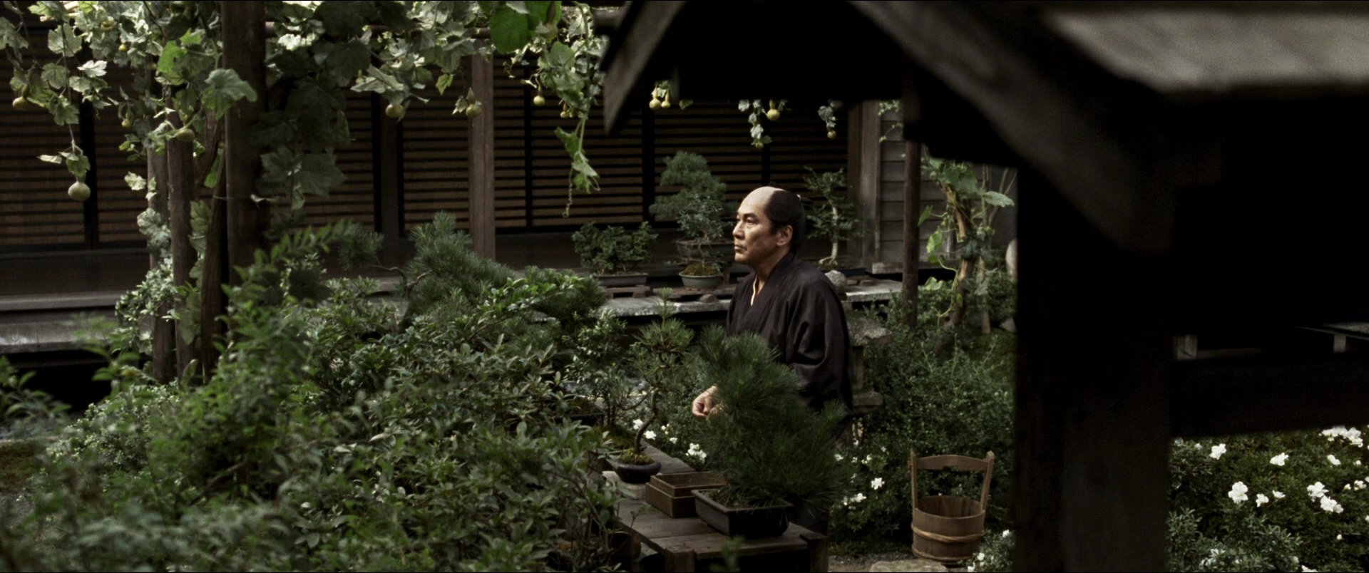 Jusan-nin no shikaku (2010), wide, 2.39:1 — film still