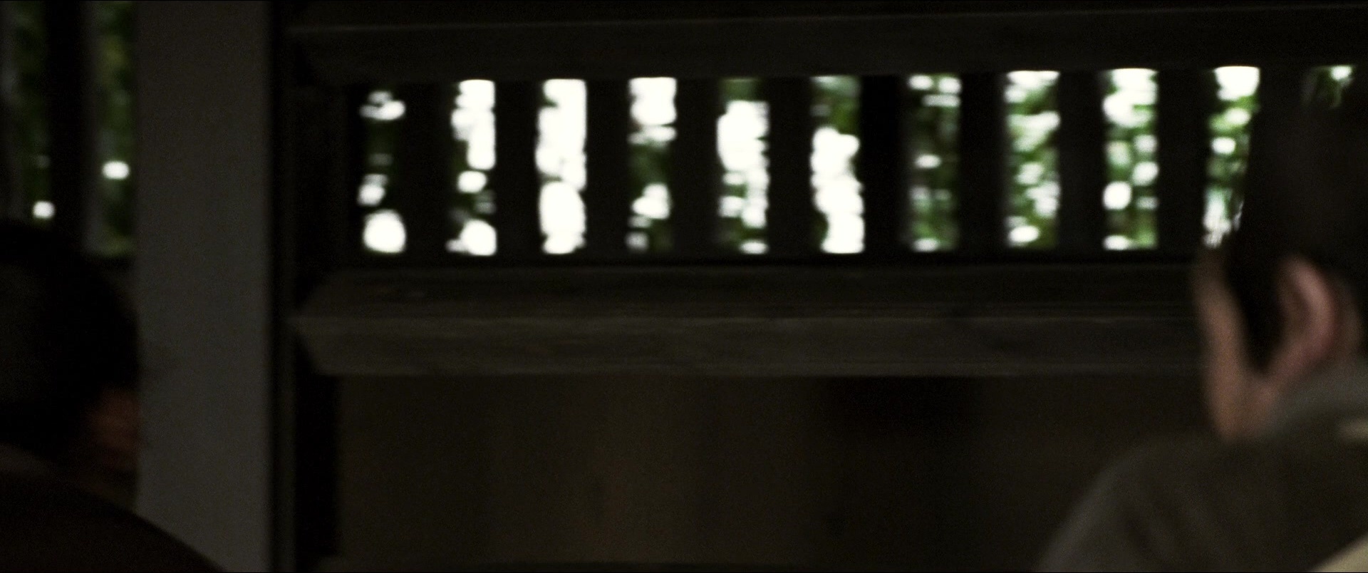 Jusan-nin no shikaku (2010), wide, 2.39:1 — film still