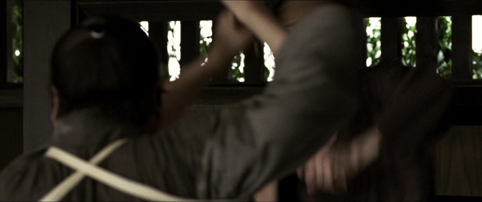 Jusan-nin no shikaku (2010), wide, 2.39:1 — film still