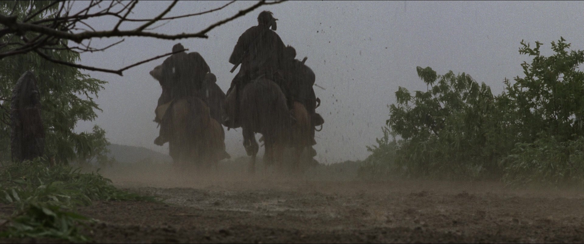 Jusan-nin no shikaku (2010), wide, 2.39:1 — film still