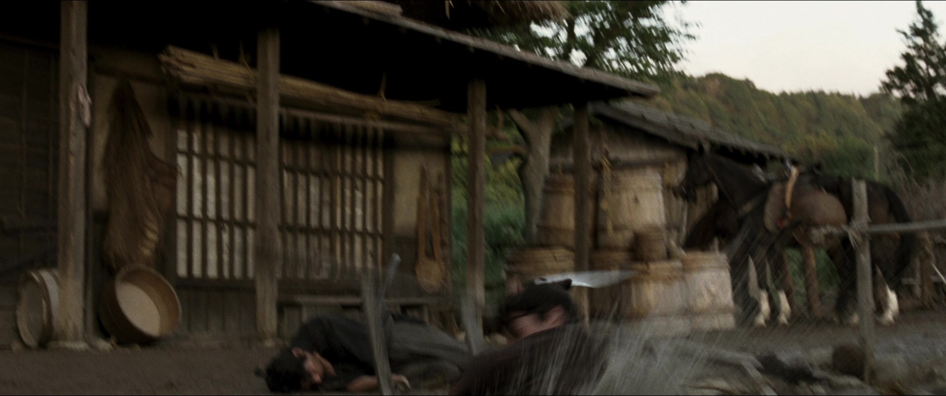 Jusan-nin no shikaku (2010), wide, 2.39:1 — film still