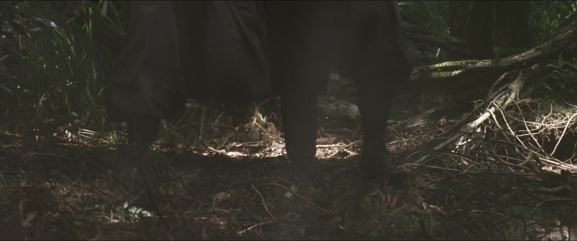 Jusan-nin no shikaku (2010), wide, 2.39:1 — film still