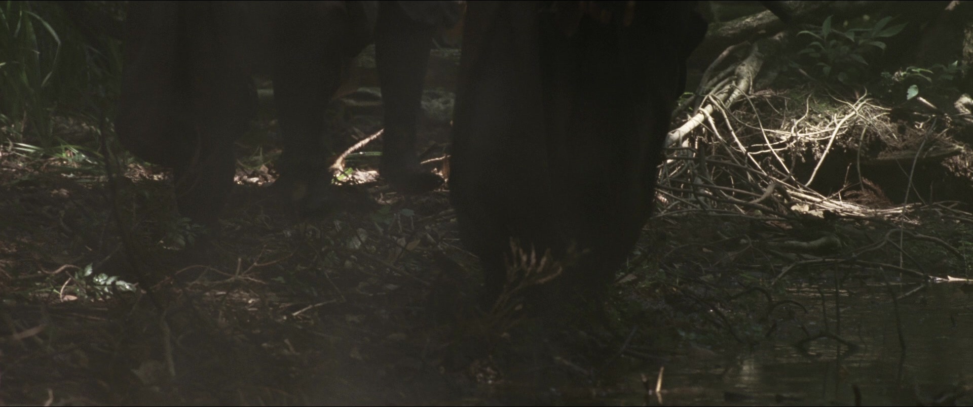 Jusan-nin no shikaku (2010), wide, 2.39:1 — film still