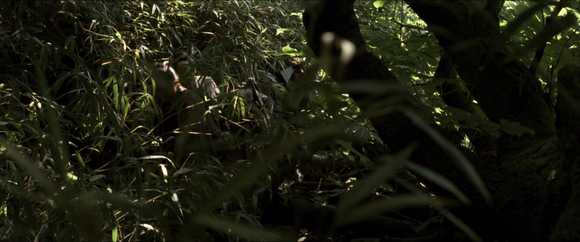 Jusan-nin no shikaku (2010), unknown, 2.39:1 — film still