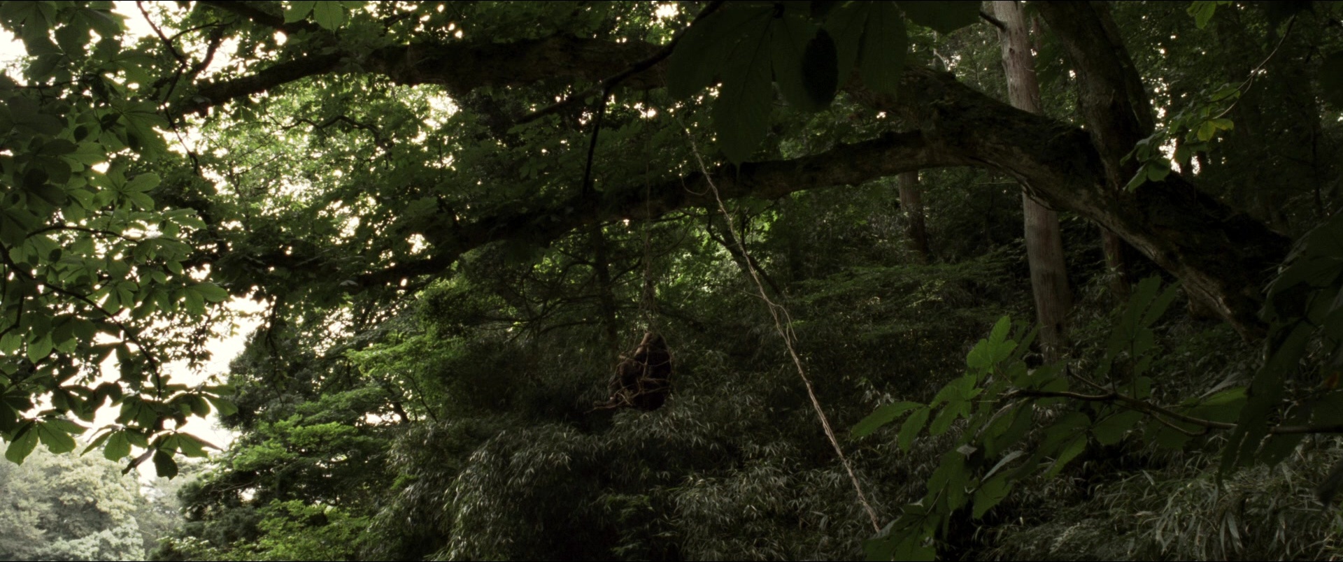 Jusan-nin no shikaku (2010), wide, 2.39:1 — film still