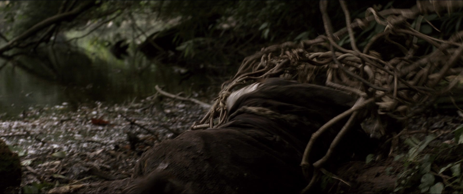 Jusan-nin no shikaku (2010), wide, 2.39:1 — film still