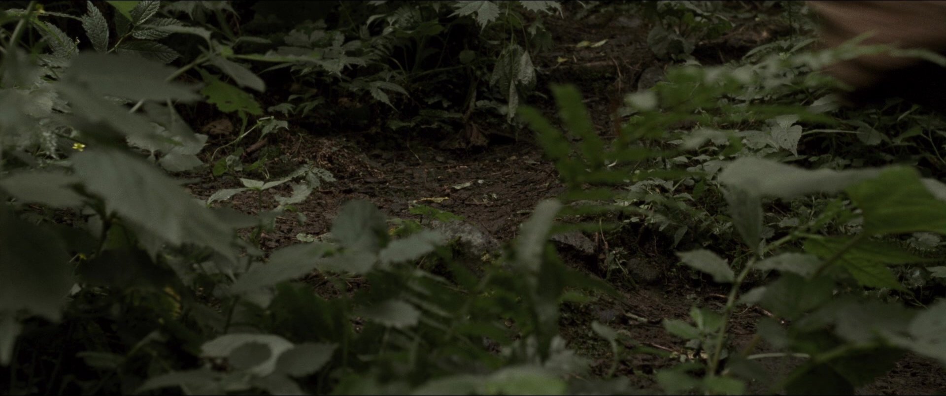 Jusan-nin no shikaku (2010), wide, 2.39:1 — film still