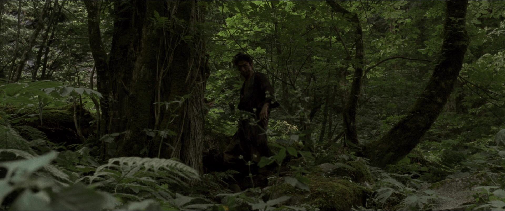 Jusan-nin no shikaku (2010), wide, 2.39:1 — film still