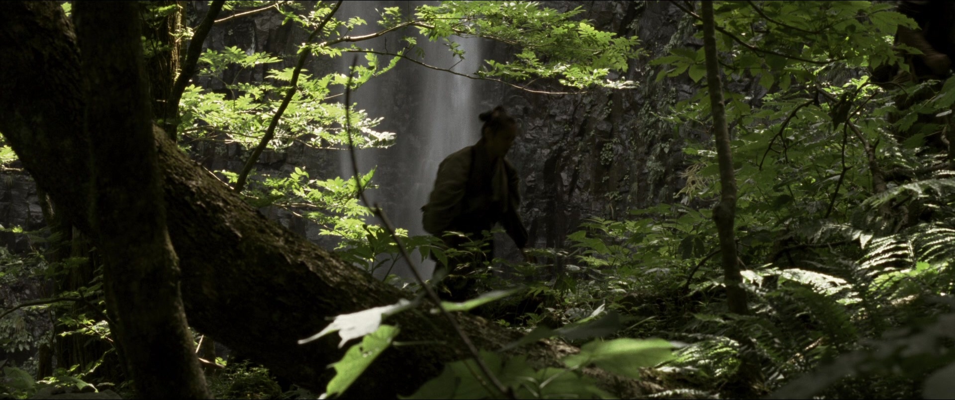 Jusan-nin no shikaku (2010), wide, 2.39:1 — film still