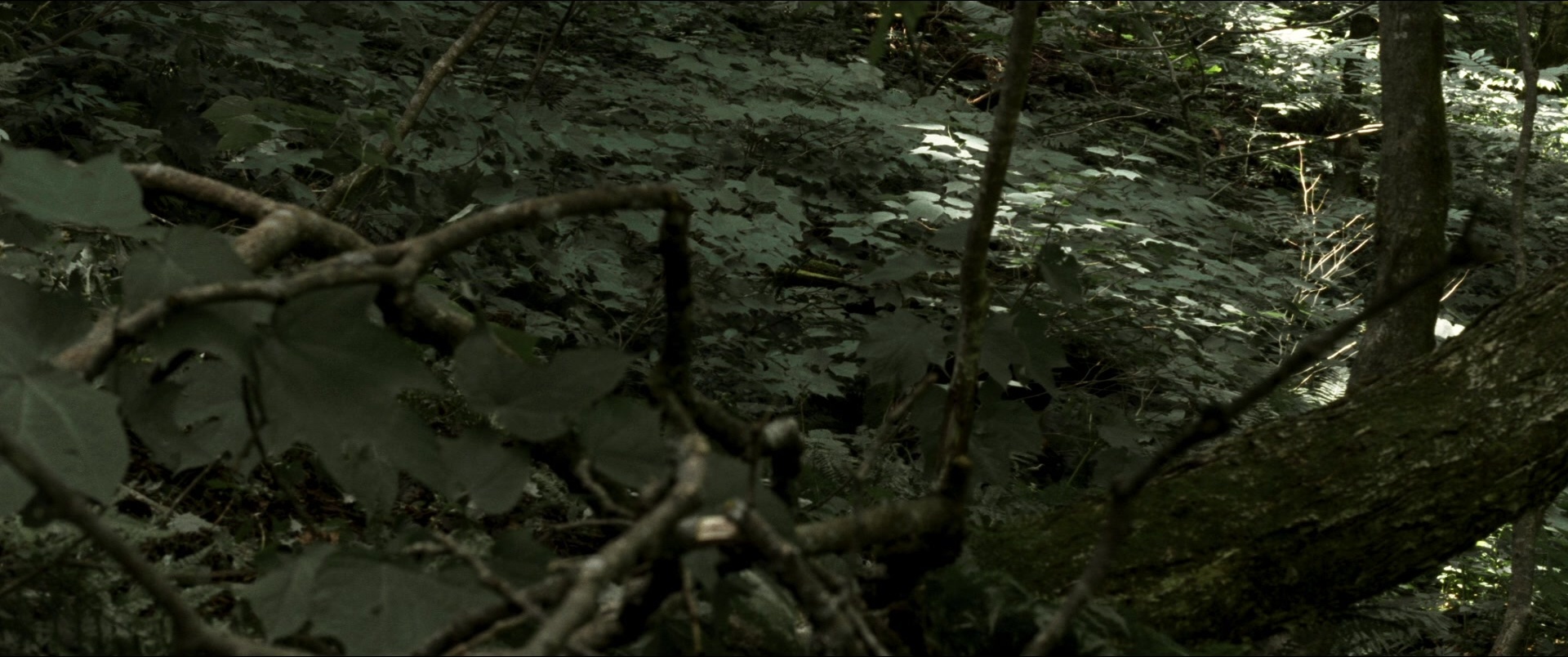 Jusan-nin no shikaku (2010), unknown, 2.39:1 — film still
