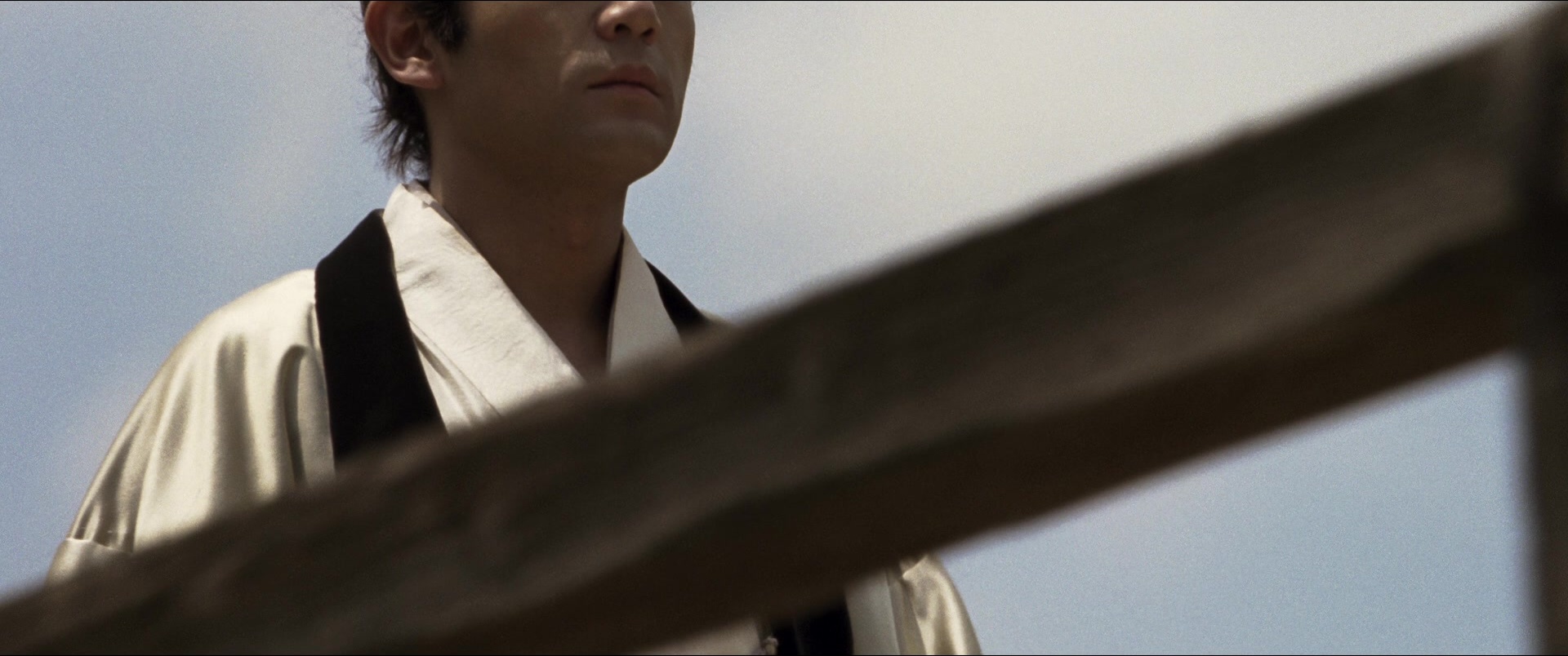 Jusan-nin no shikaku (2010), wide, 2.39:1 — film still