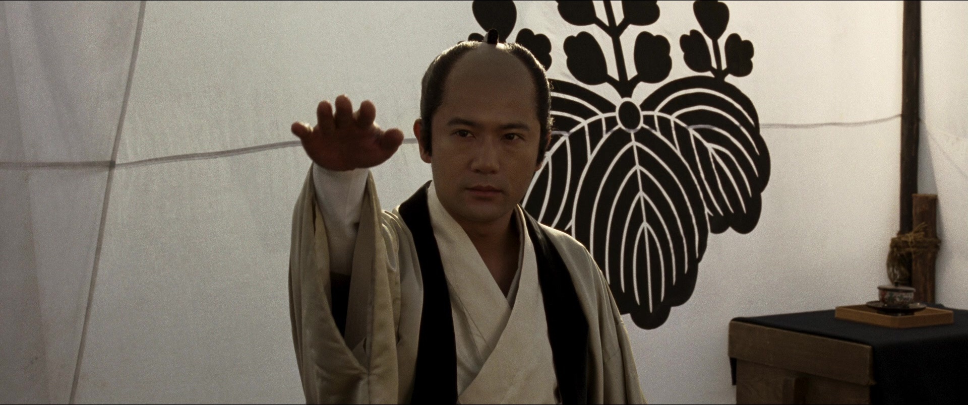 Jusan-nin no shikaku (2010), wide, 2.39:1 — film still