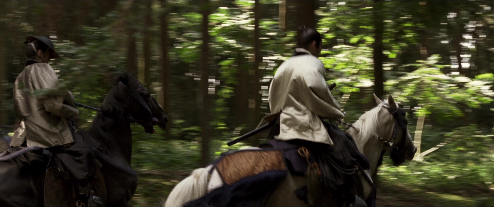 Jusan-nin no shikaku (2010), wide, 2.39:1 — film still