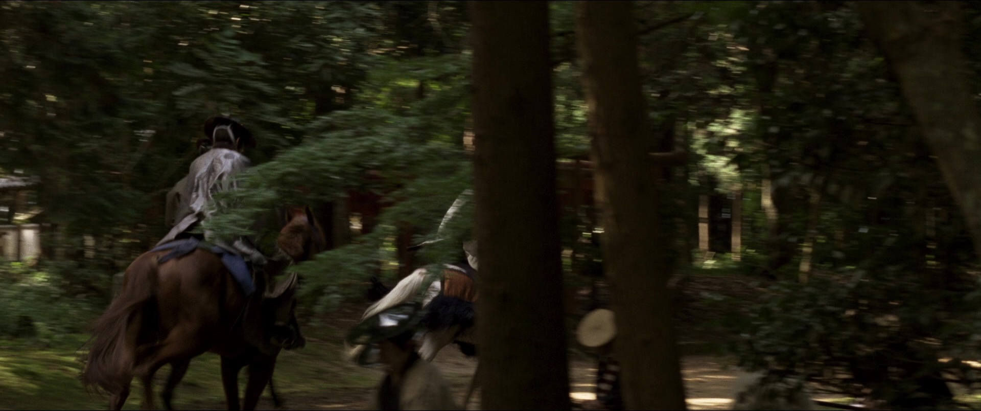 Jusan-nin no shikaku (2010), wide, 2.39:1 — film still