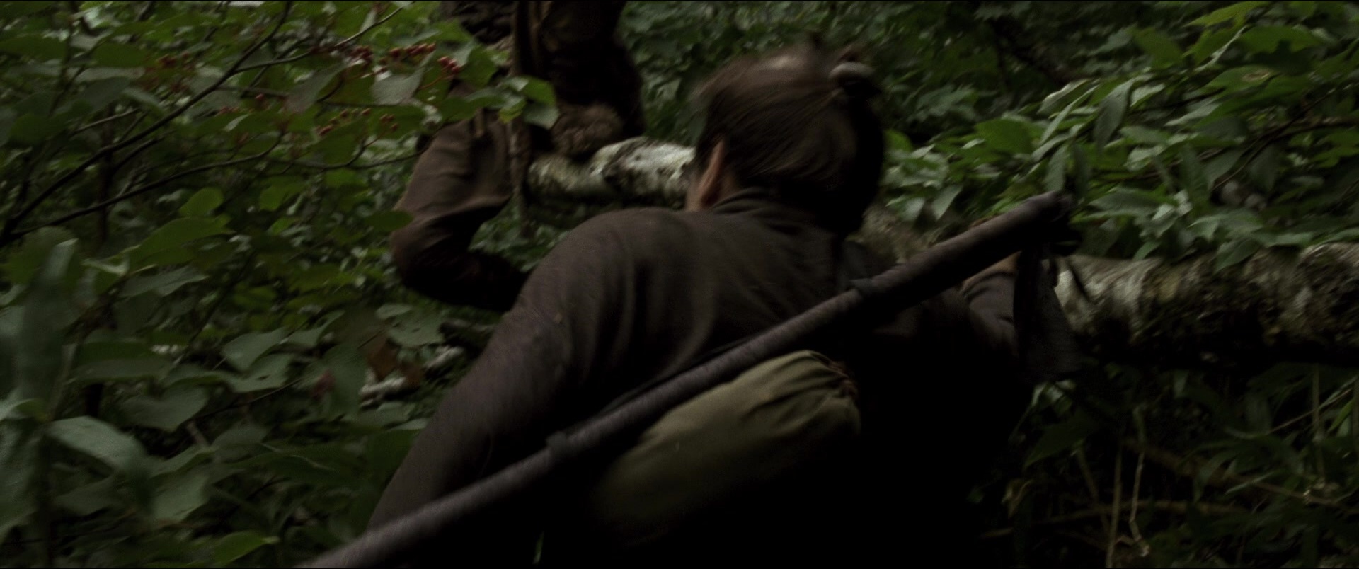 Jusan-nin no shikaku (2010), unknown, 2.39:1 — film still