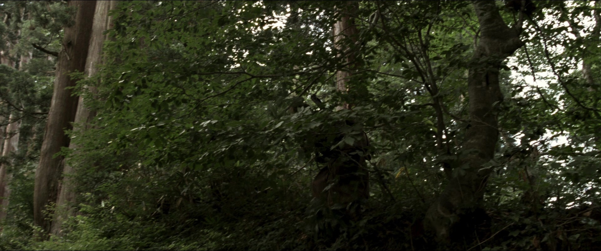Jusan-nin no shikaku (2010), wide, 2.39:1 — film still