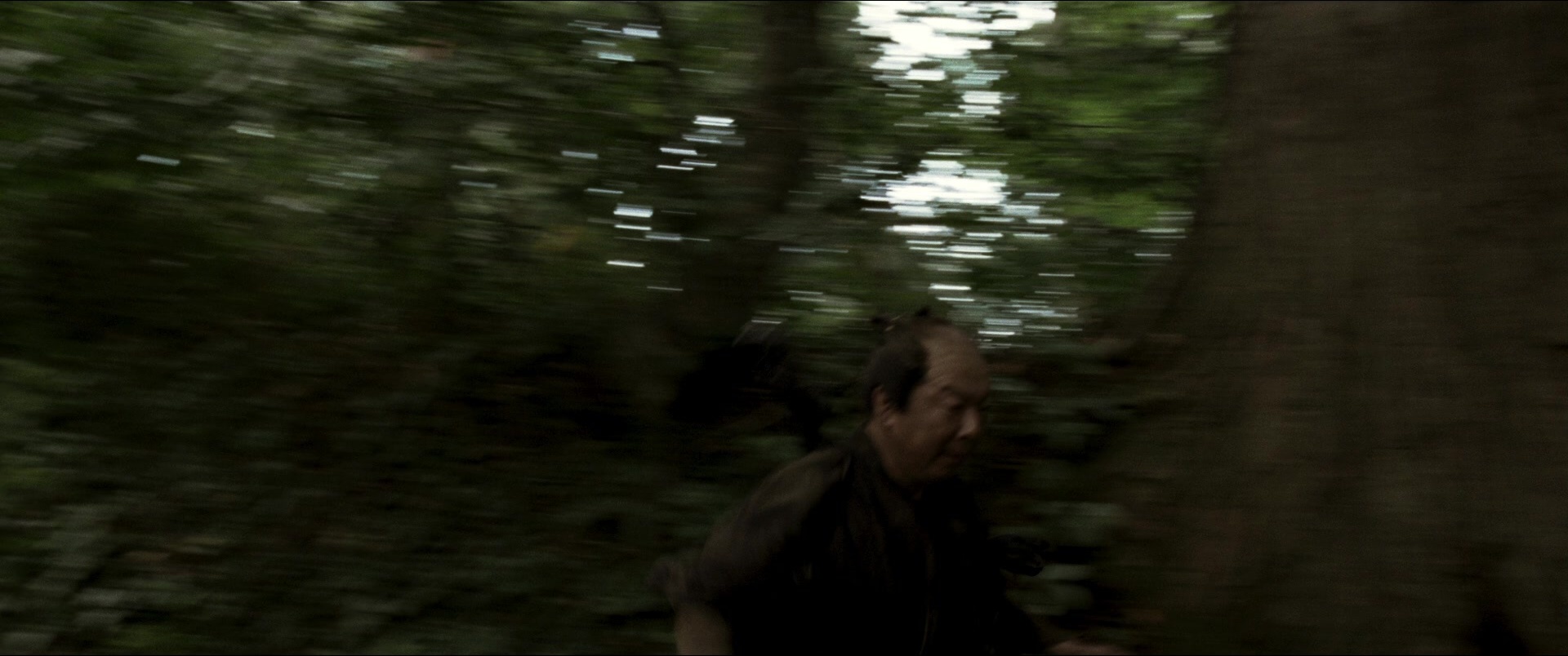 Jusan-nin no shikaku (2010), unknown, 2.39:1 — film still