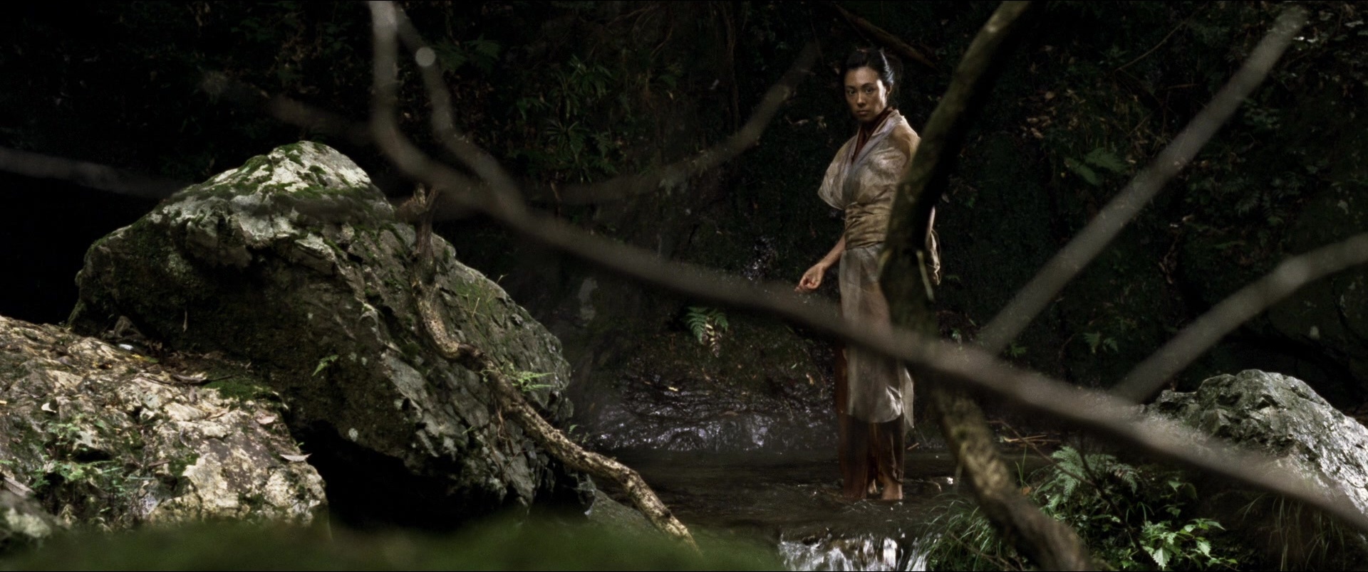 Jusan-nin no shikaku (2010), wide, 2.39:1 — film still