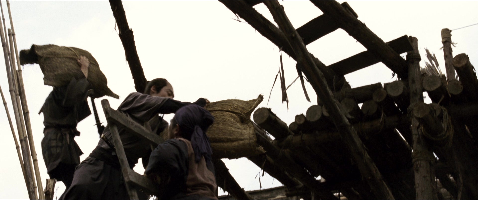 Jusan-nin no shikaku (2010), wide, 2.39:1 — film still