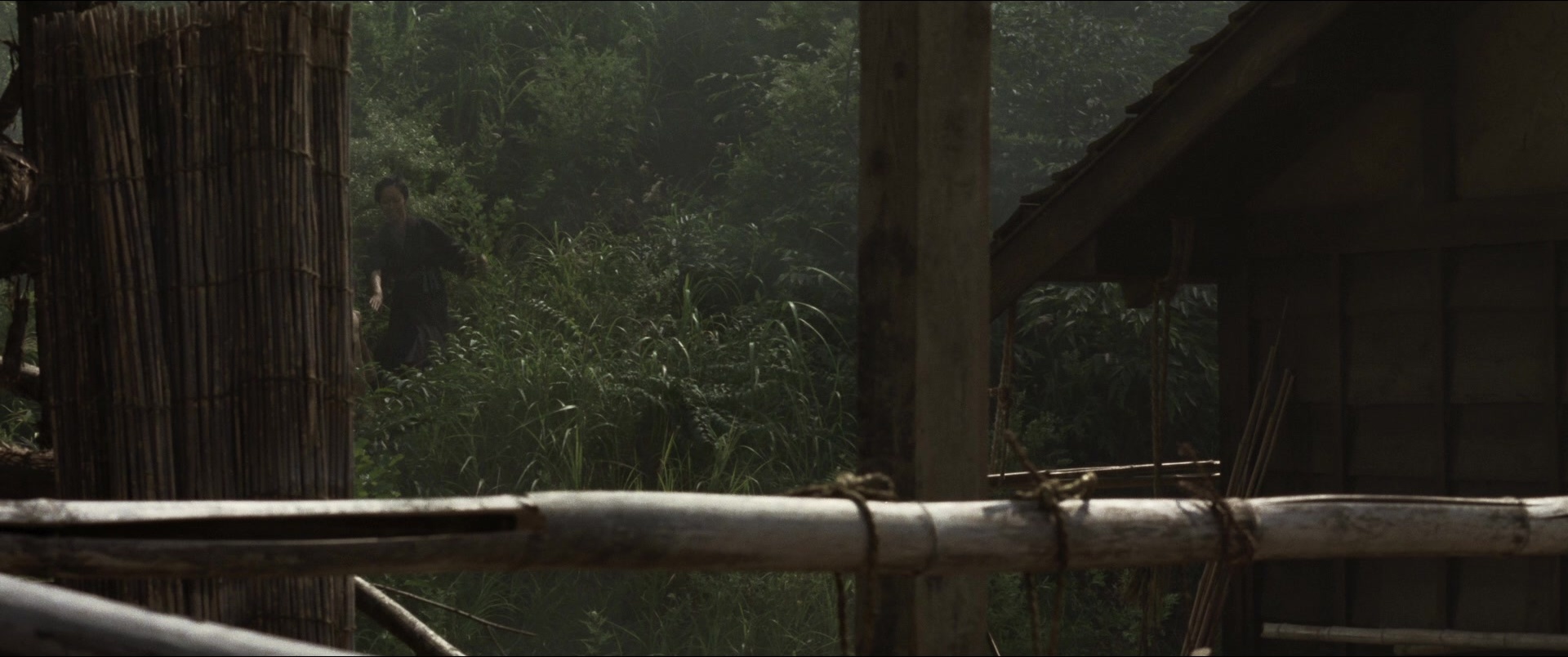 Jusan-nin no shikaku (2010), unknown, 2.39:1 — film still