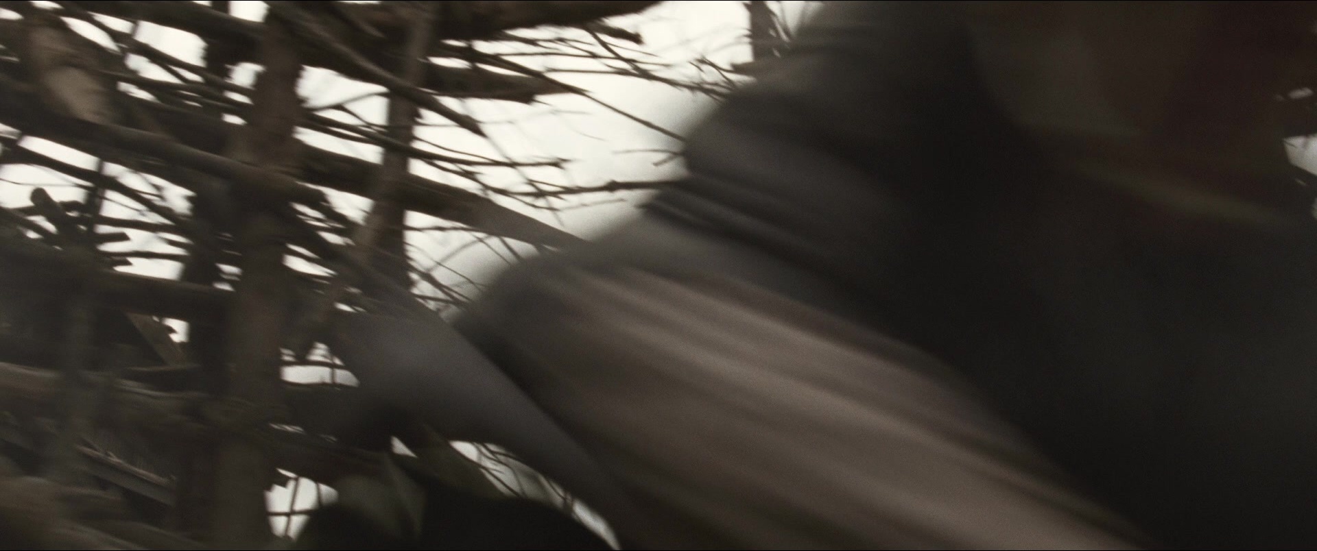 Jusan-nin no shikaku (2010), wide, 2.39:1 — film still