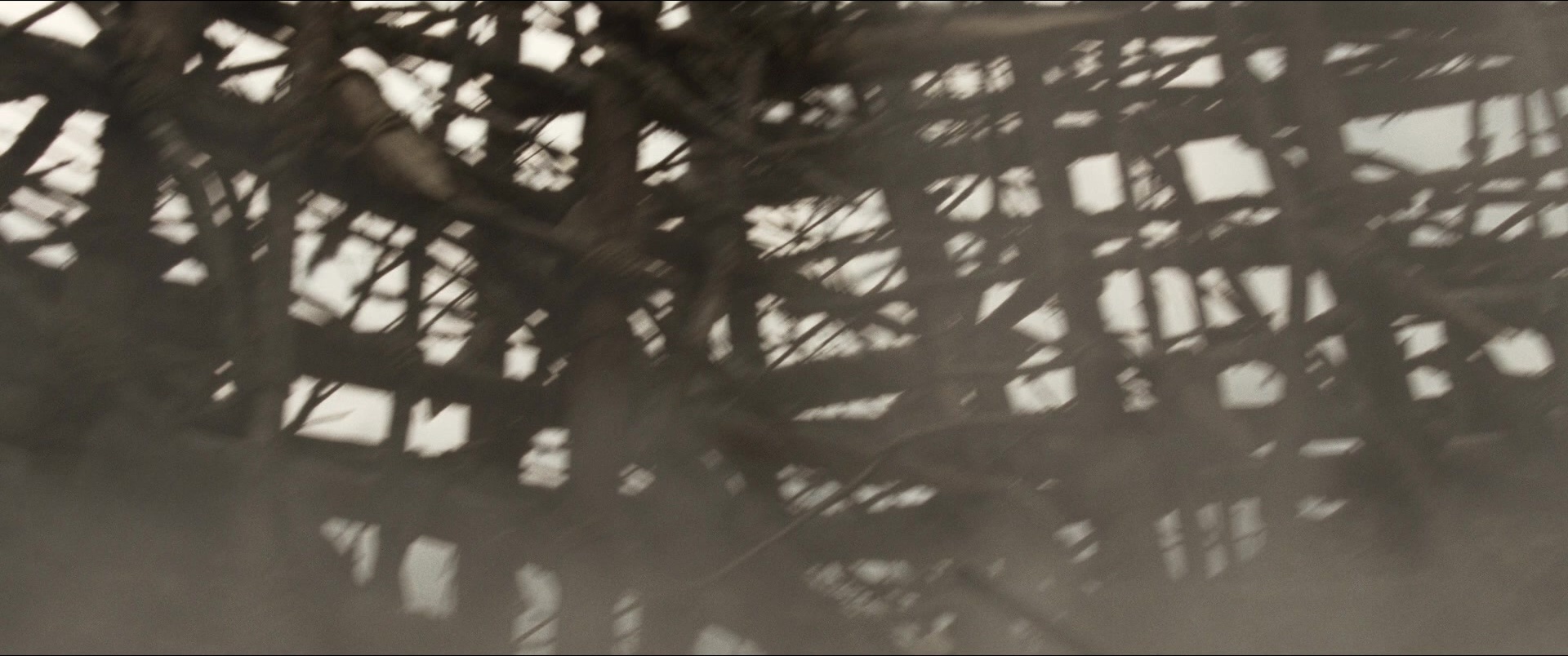 Jusan-nin no shikaku (2010), wide, 2.39:1 — film still