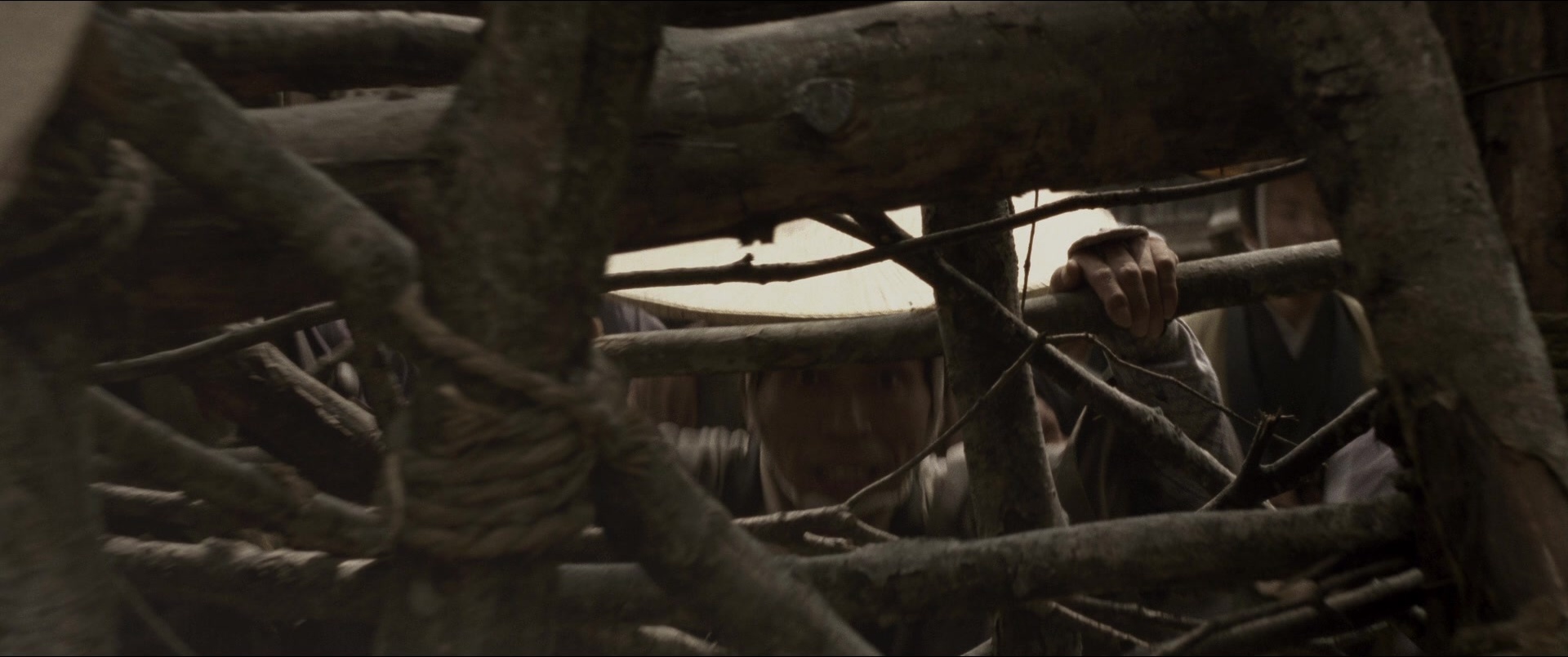 Jusan-nin no shikaku (2010), wide, 2.39:1 — film still
