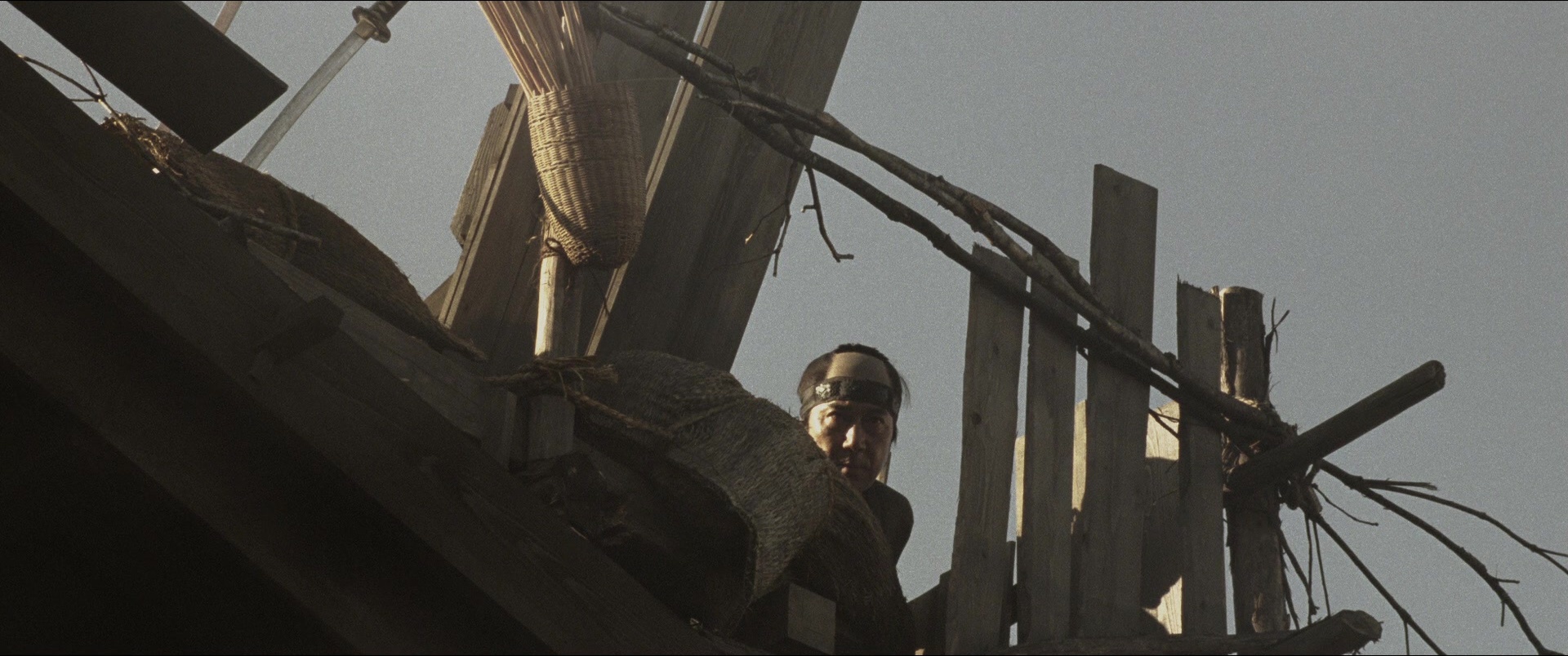 Jusan-nin no shikaku (2010), unknown, 2.39:1 — film still