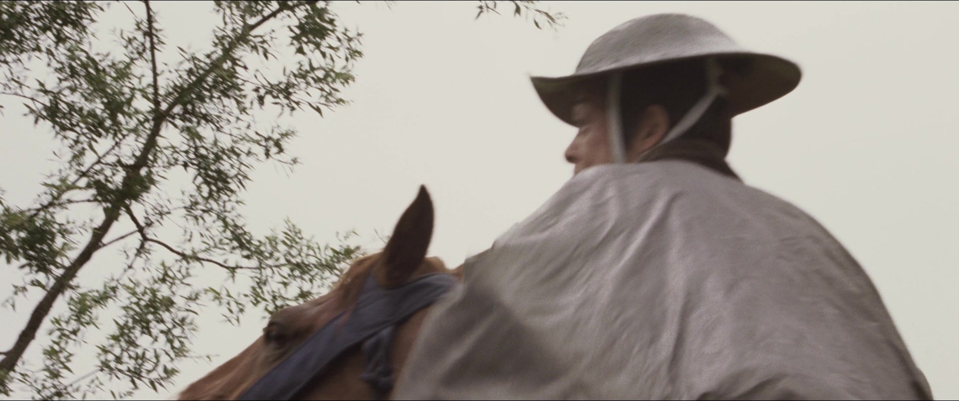 Jusan-nin no shikaku (2010), wide, 2.39:1 — film still