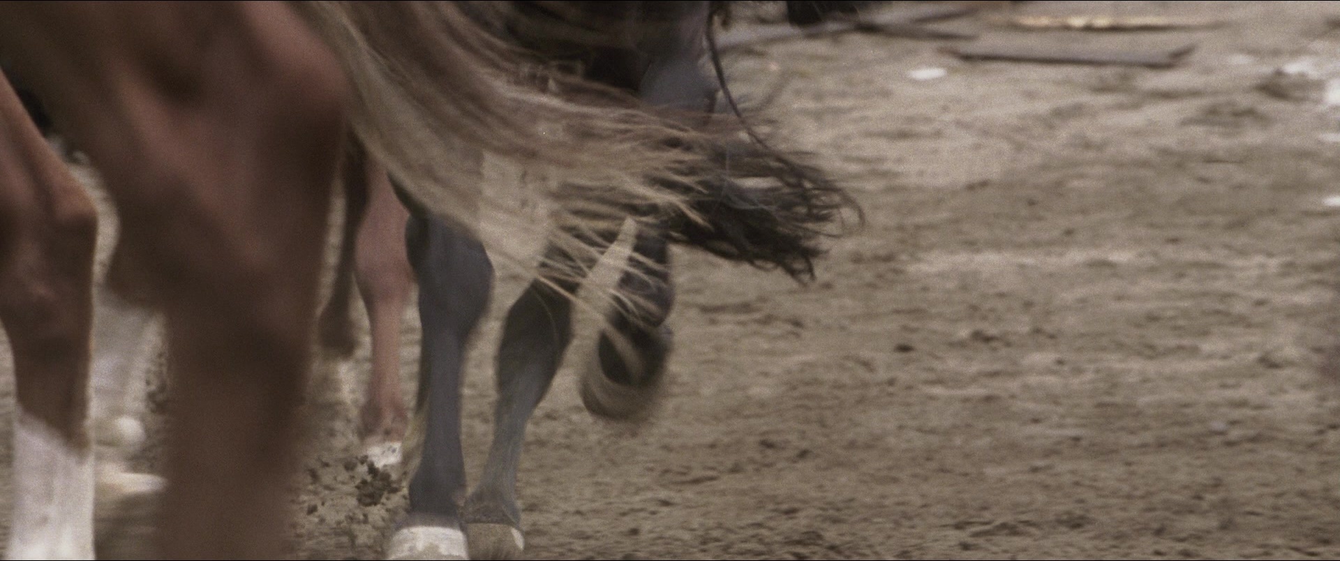 Jusan-nin no shikaku (2010), wide, 2.39:1 — film still