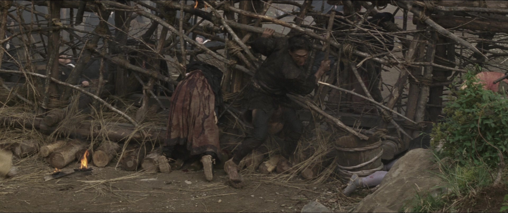 Jusan-nin no shikaku (2010), wide, 2.39:1 — film still