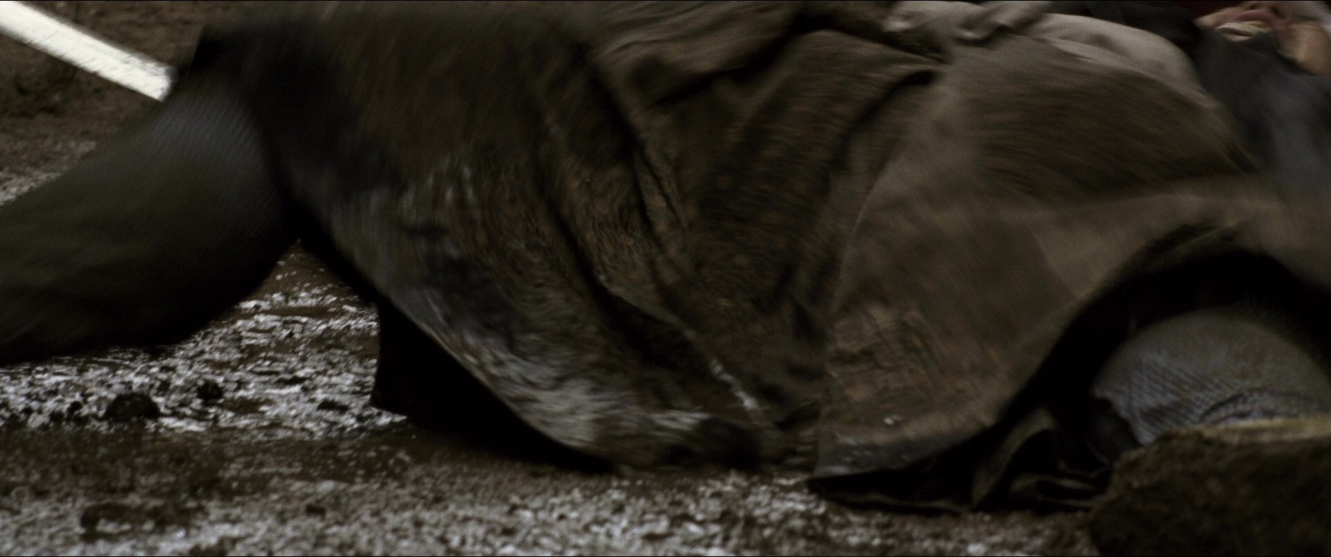 Jusan-nin no shikaku (2010), wide, 2.39:1 — film still