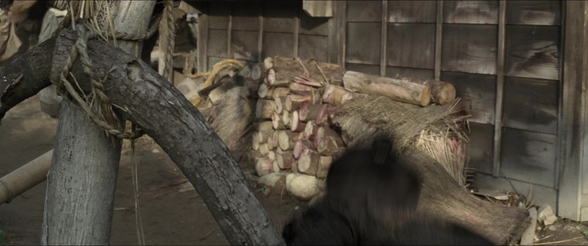 Jusan-nin no shikaku (2010), unknown, 2.39:1 — film still