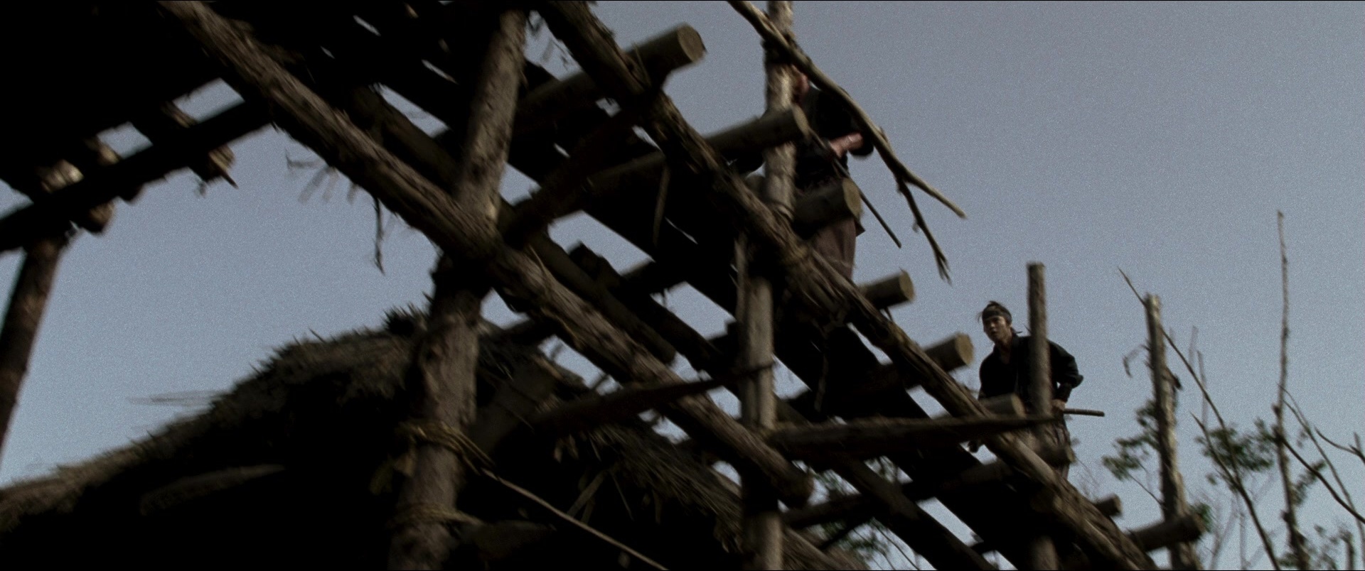 Jusan-nin no shikaku (2010), wide, 2.39:1 — film still