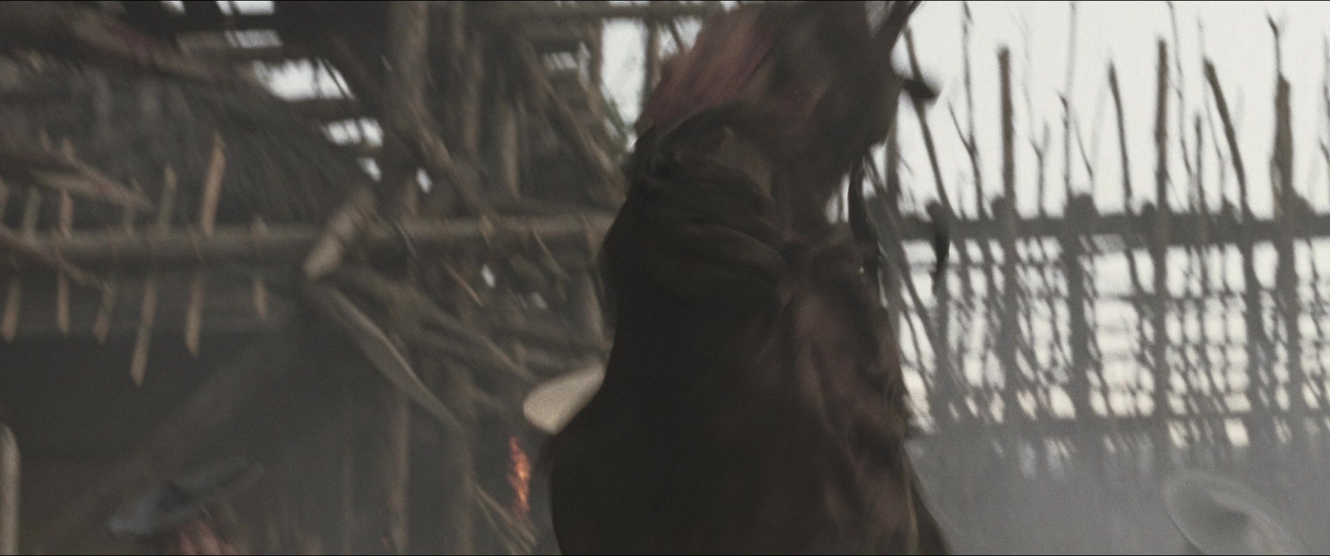 Jusan-nin no shikaku (2010), wide, 2.39:1 — film still