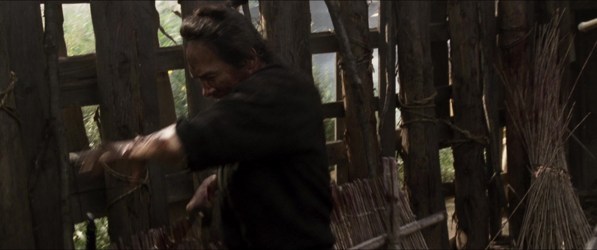 Jusan-nin no shikaku (2010), wide, 2.39:1 — film still