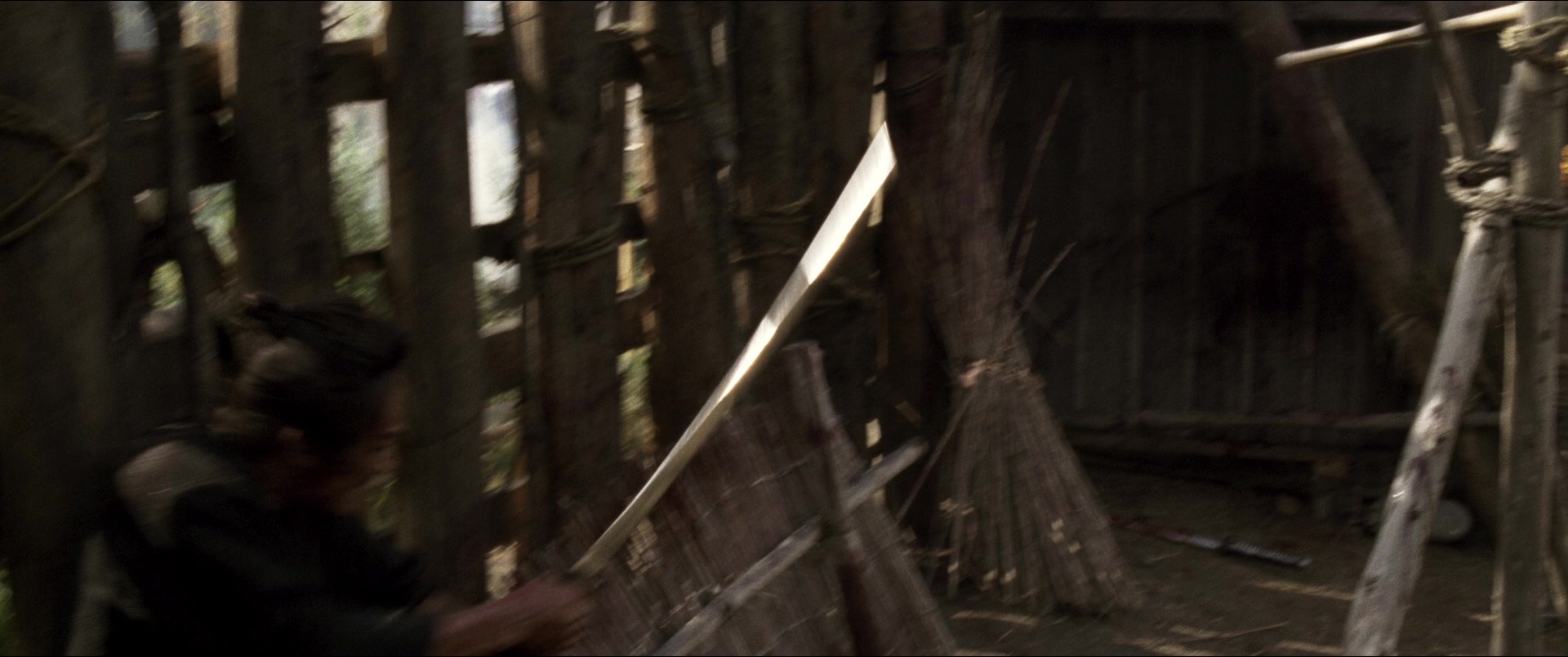 Jusan-nin no shikaku (2010), wide, 2.39:1 — film still