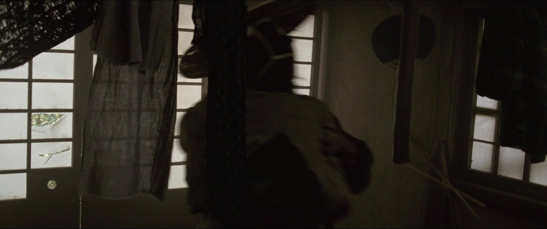 Jusan-nin no shikaku (2010), wide, 2.39:1 — film still