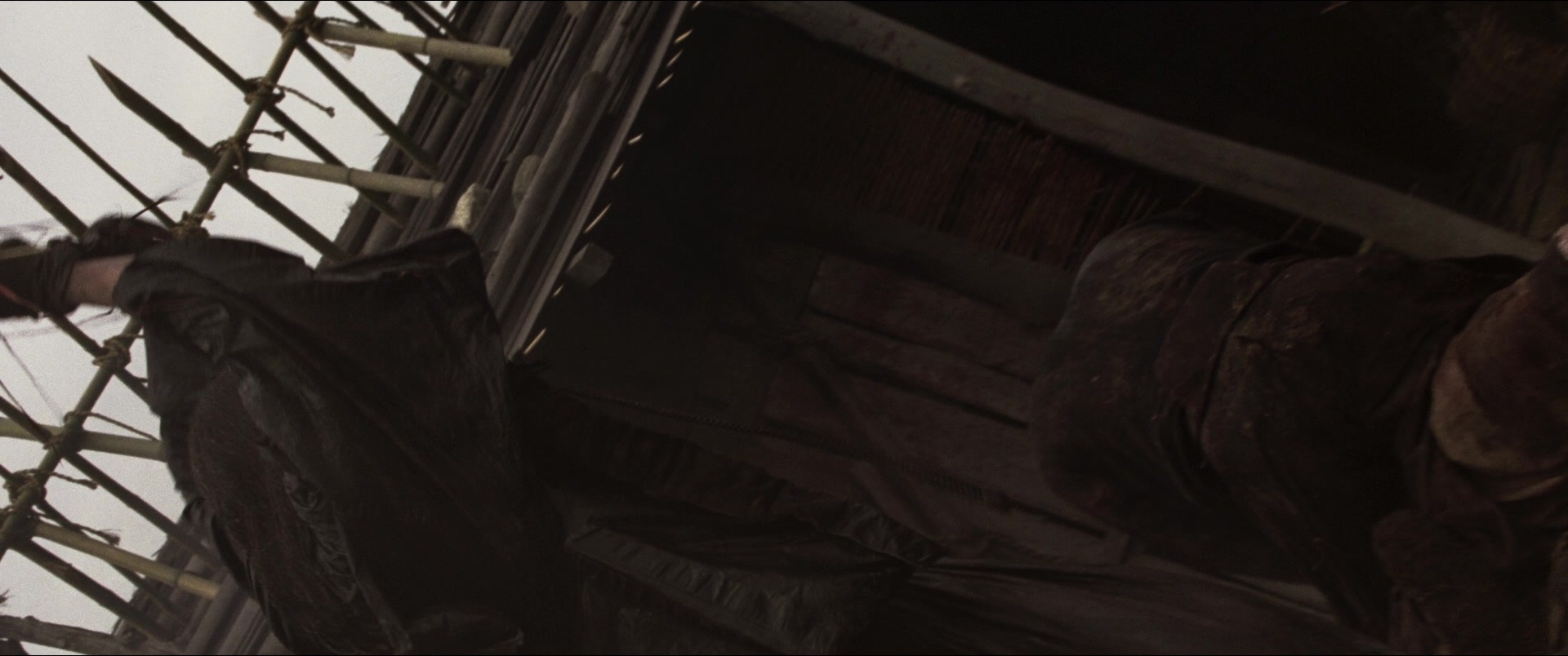Jusan-nin no shikaku (2010), wide, 2.39:1 — film still