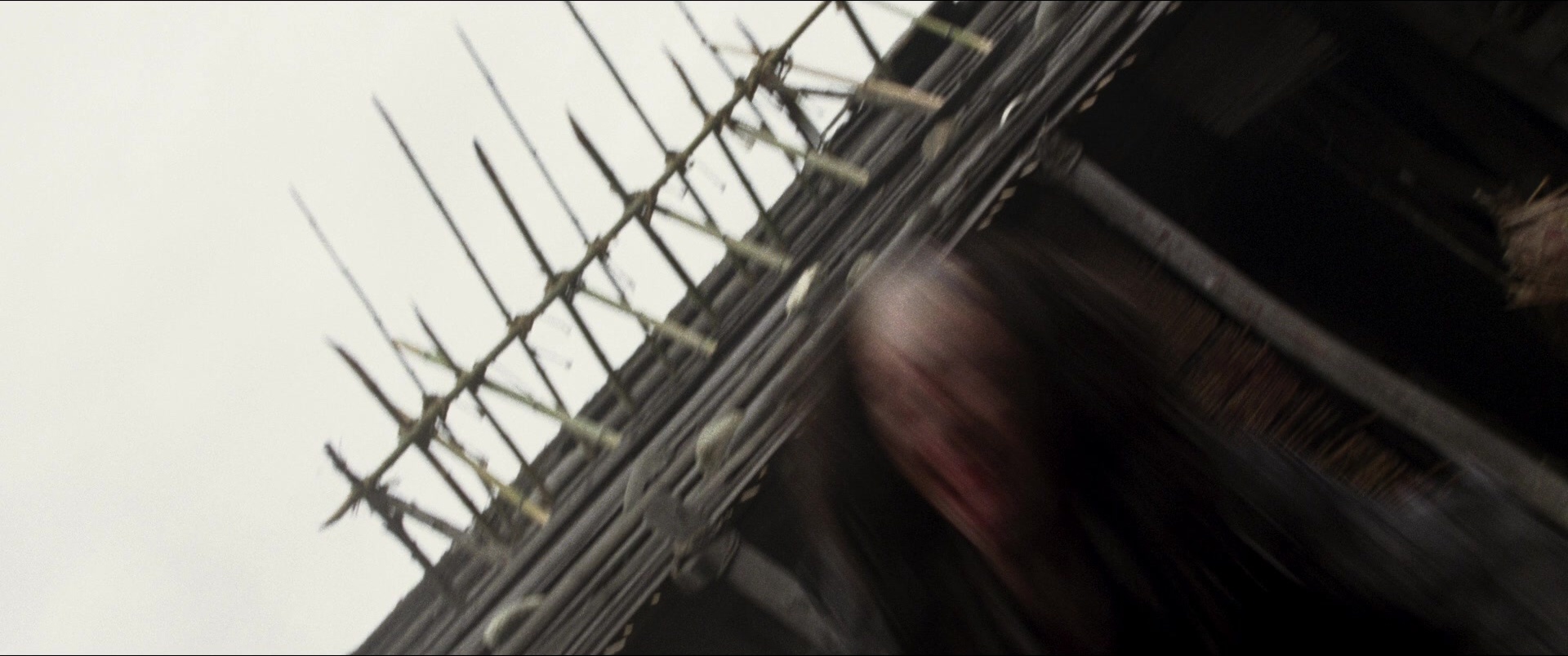 Jusan-nin no shikaku (2010), wide, 2.39:1 — film still