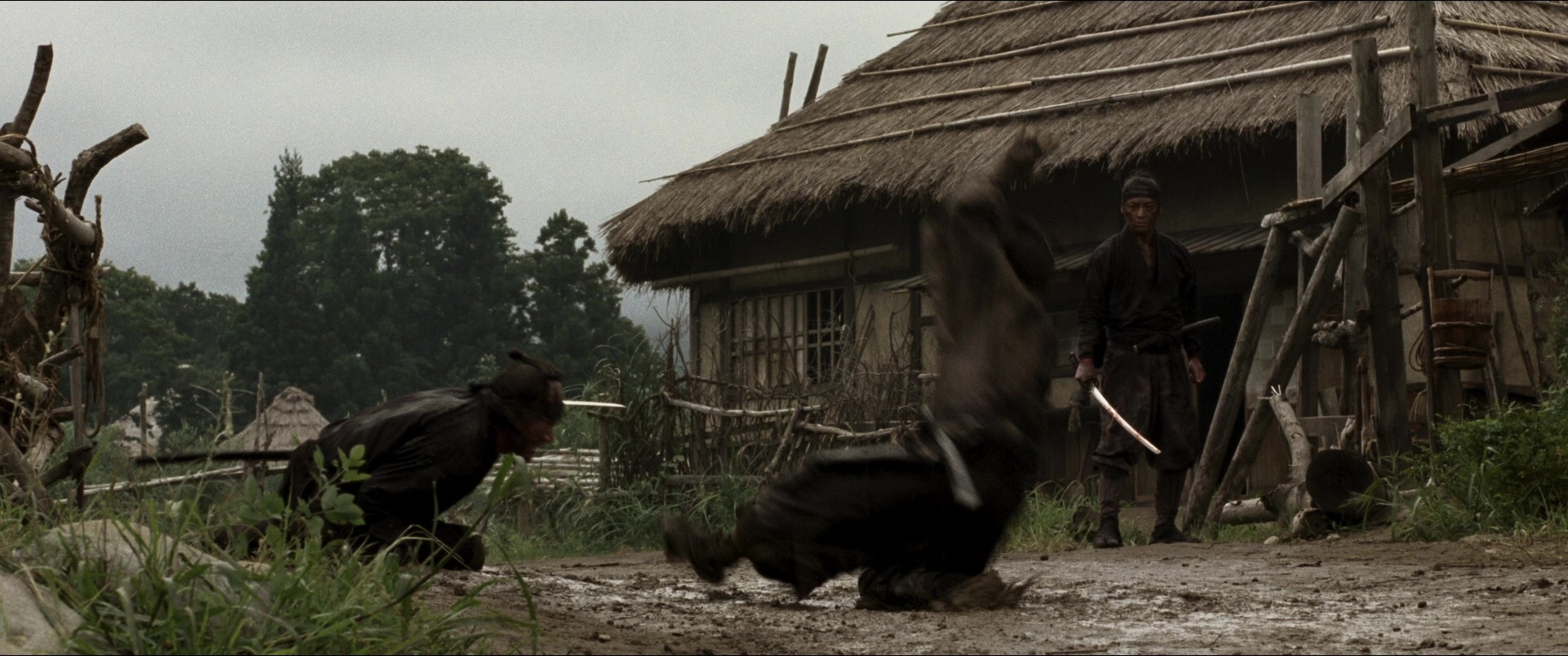 Jusan-nin no shikaku (2010), wide, 2.39:1 — film still