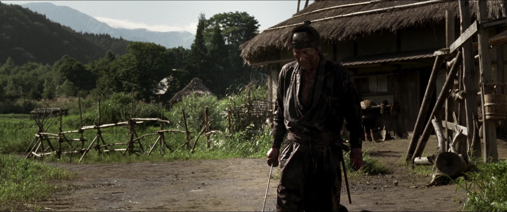 Jusan-nin no shikaku (2010), wide, 2.39:1 — film still