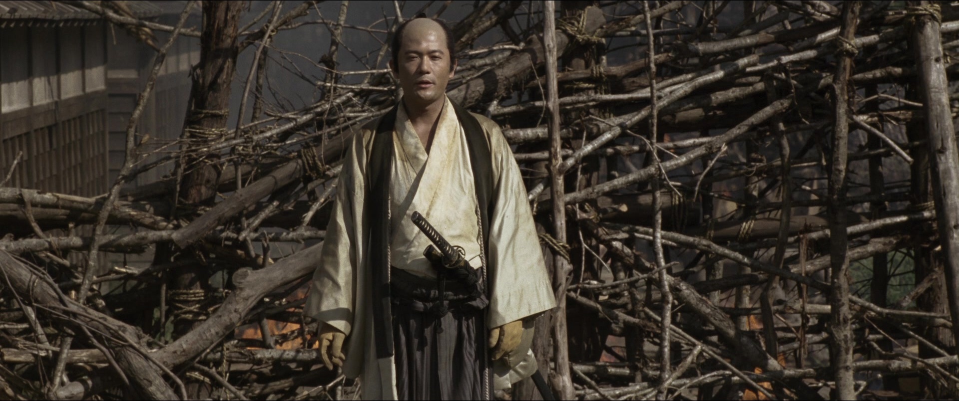 Jusan-nin no shikaku (2010), wide, 2.39:1 — film still