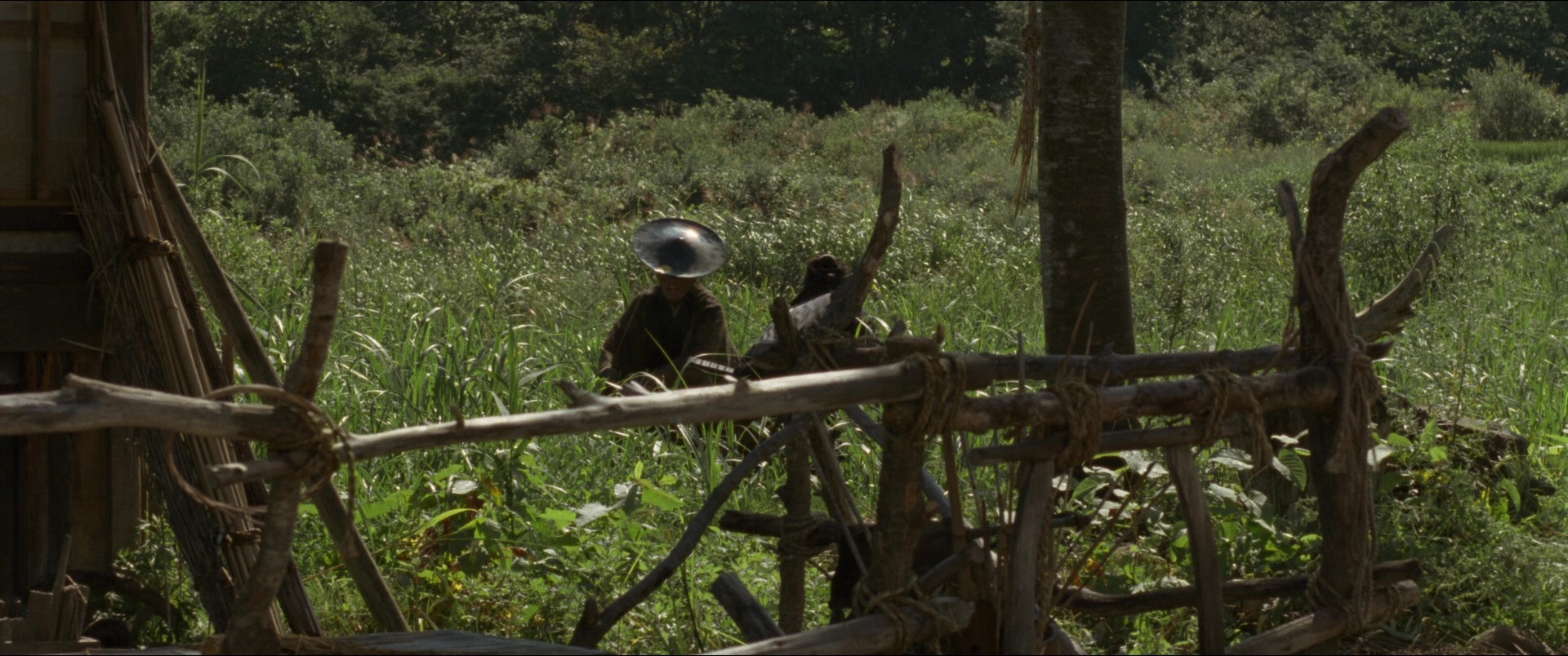 Jusan-nin no shikaku (2010), wide, 2.39:1 — film still